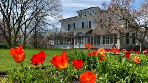 Eldon House Garden