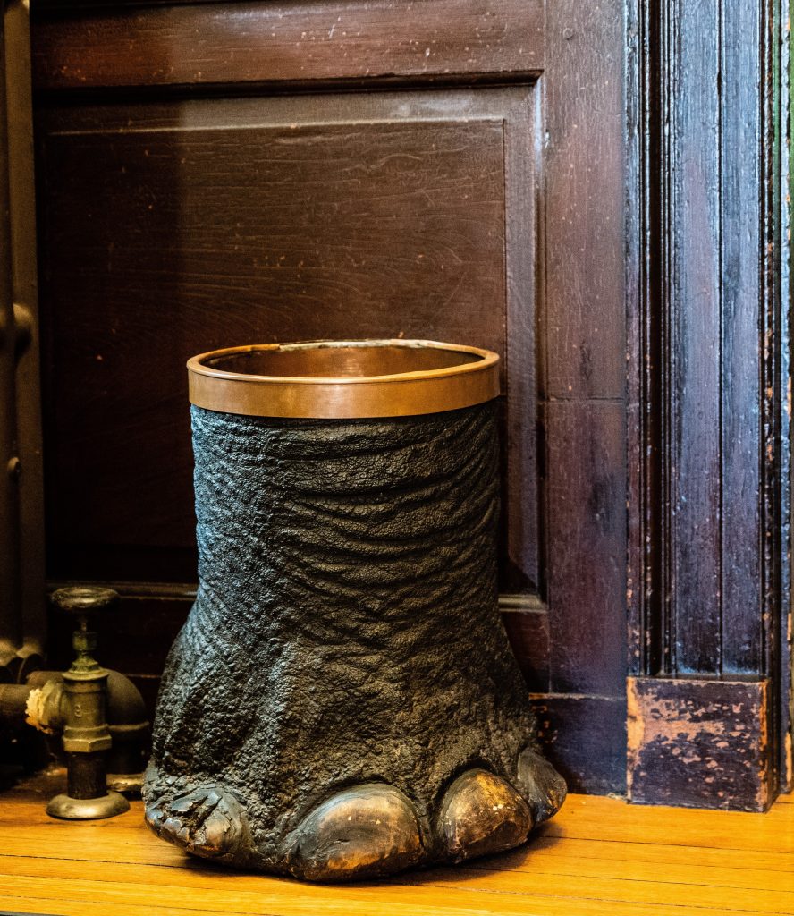 An image of an elephant foot. It is lined with a brass top. The foot is sitting in a corner of a wood paneled hallway.
