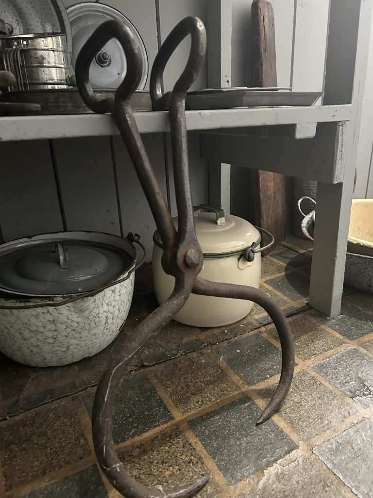 A large pair of metal tongs with pointed ends. They are sitting against a grey shelf with pots behind it.