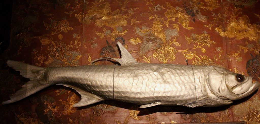 A picture of a large silver fish mounted on a wall. The wallpaper behind is red and gold.