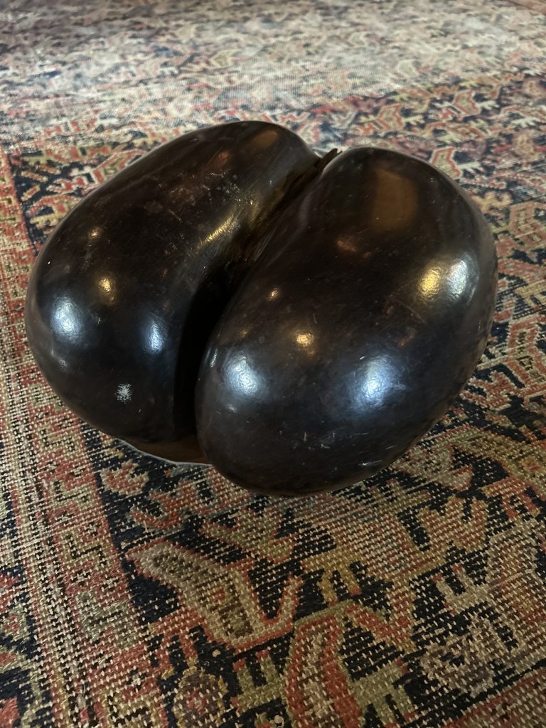 An image of a giant coffee bean item on a worn but patterned rug.