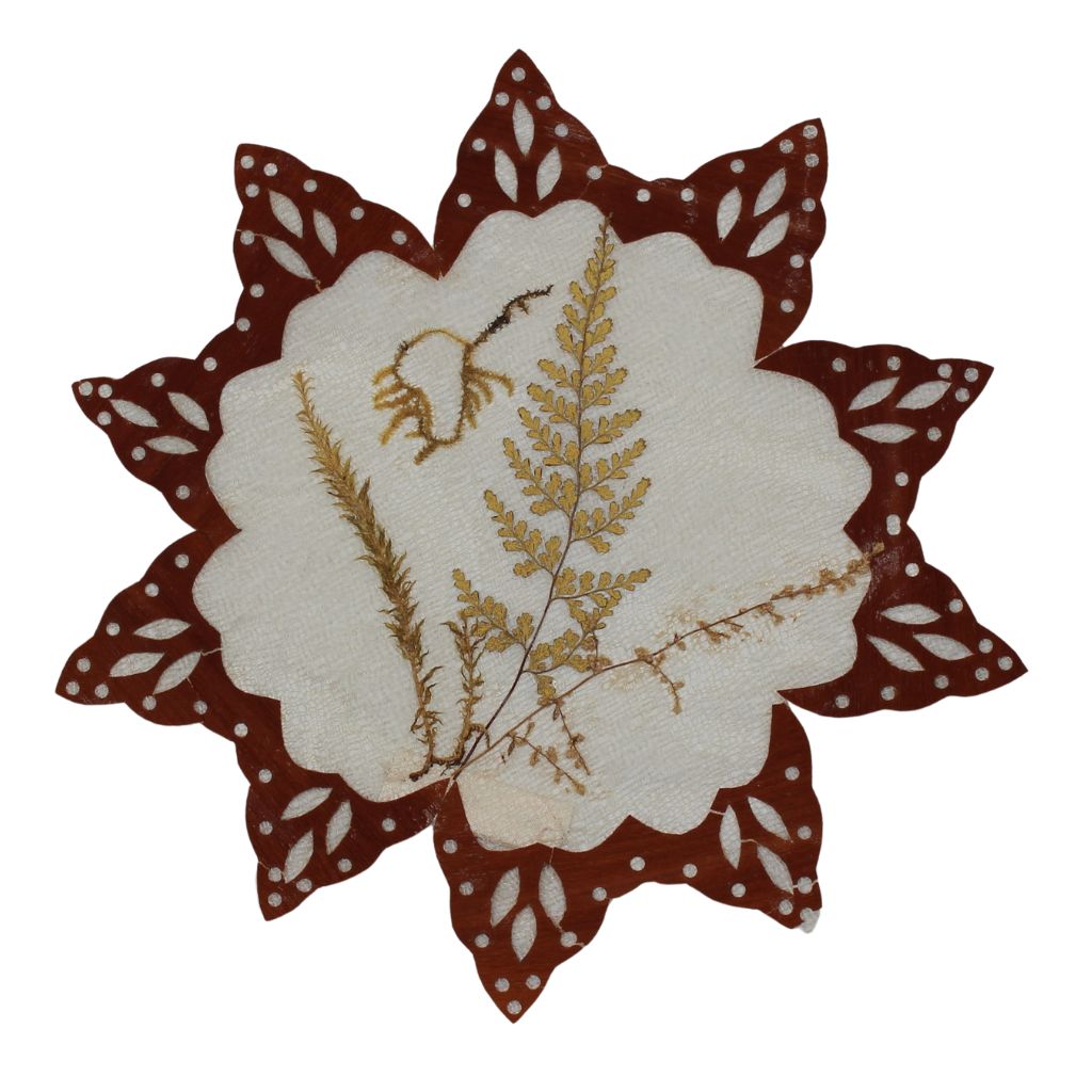 A ten pointed doily with a brown edge. In the center there is a fern and more plants.
