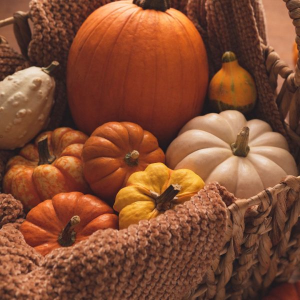 Pumpkins and Petals