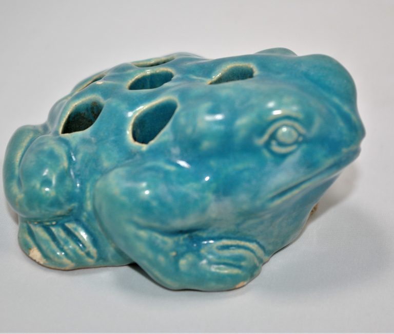 Blue frog cropped