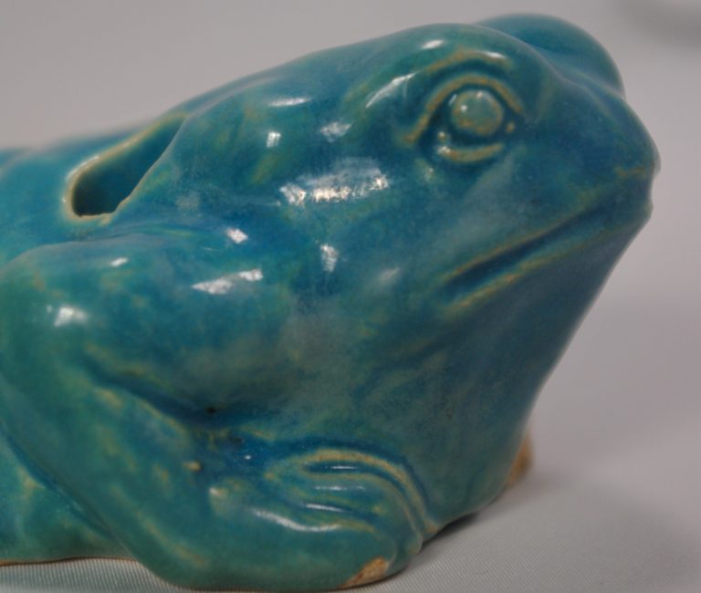 Blue frog detail of head